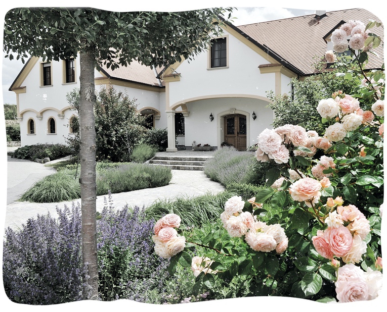 190222_weixelbaum_website_headerbild_08_klein